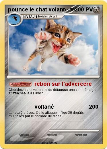 Pokemon pounce le chat volant