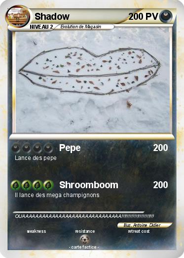 Pokemon Shadow