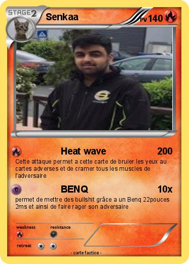Pokemon Senkaa