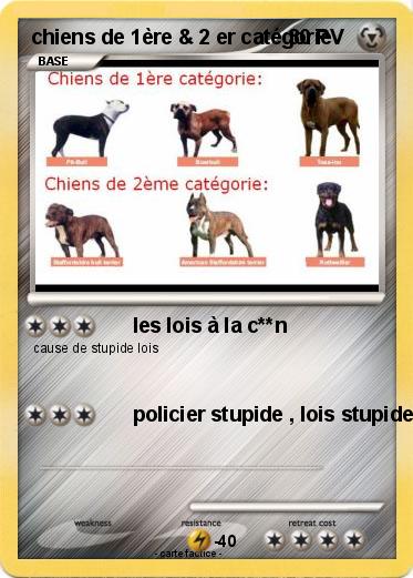 Pokemon chiens de 1ère & 2 er catégorie