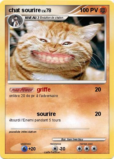 Pokemon chat sourire
