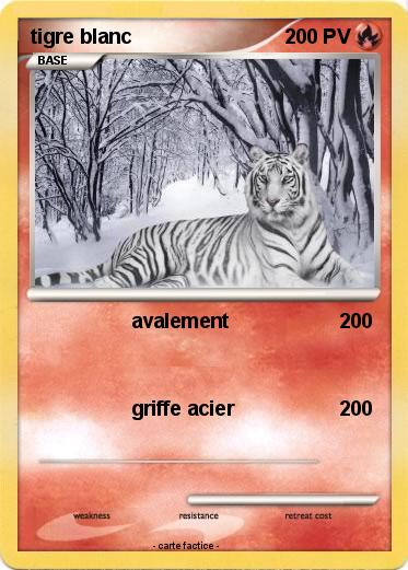 Pokemon tigre blanc