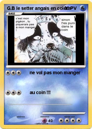 Pokemon G.B le setter angais en colère