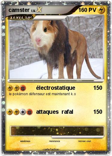 Pokemon camster