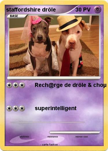 Pokemon staffordshire drôle