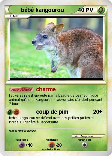 Pokemon bébé kangourou