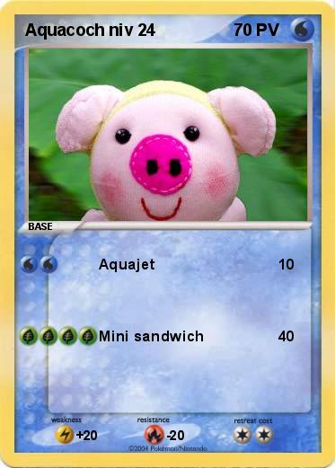 Pokemon Aquacoch niv 24