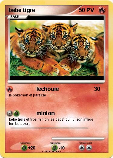 Pokemon bebe tigre