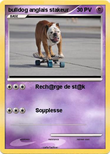 Pokemon bulldog anglais stakeur
