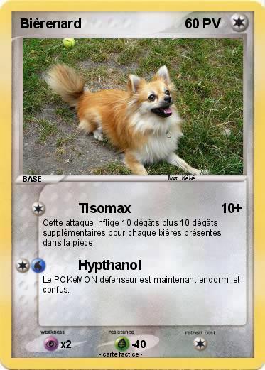 Pokemon Bièrenard