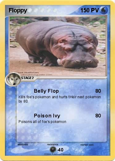 Pokemon Floppy
