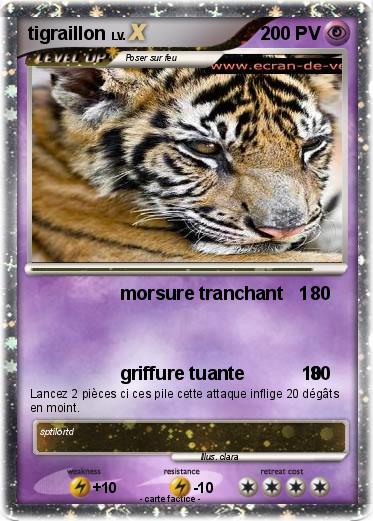 Pokemon tigraillon