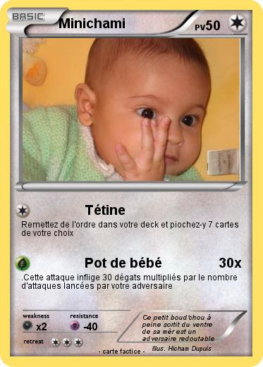 Pokemon Minichami