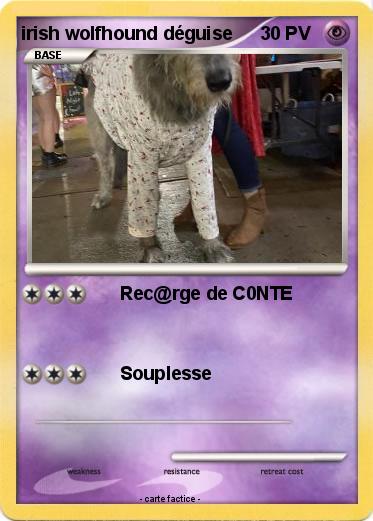 Pokemon irish wolfhound déguise