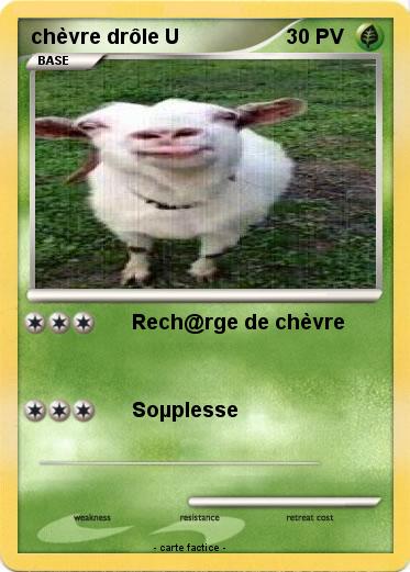 Pokemon chèvre drôle U