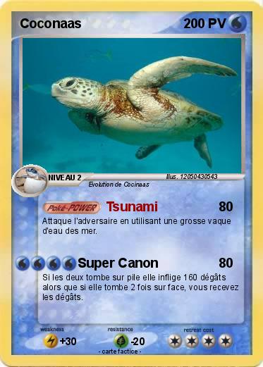 Pokemon Coconaas