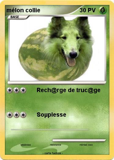 Pokemon mélon collie