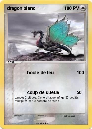 Pokemon dragon blanc