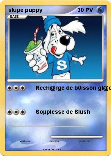 Pokemon slupe puppy