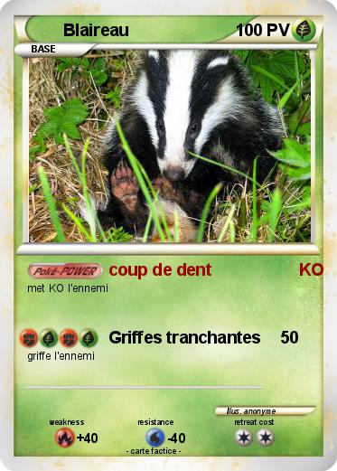 Pokemon Blaireau