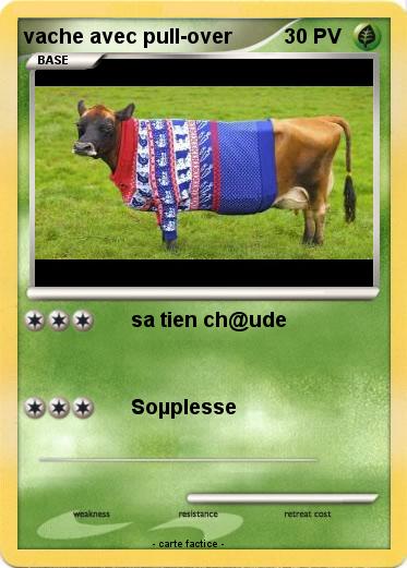 Pokemon vache avec pull-over