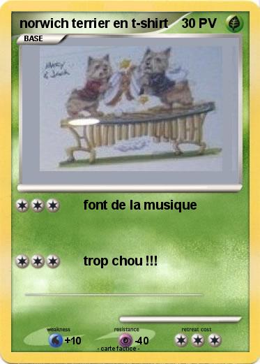 Pokemon norwich terrier en t-shirt