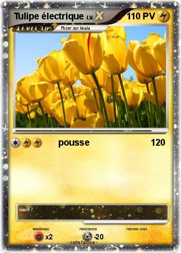 Pokemon Tulipe électrique