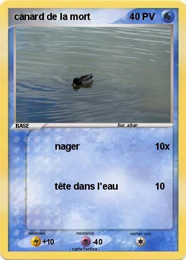 Pokemon canard de la mort