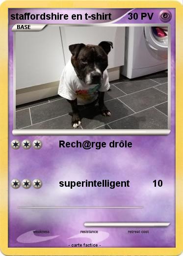 Pokemon staffordshire en t-shirt
