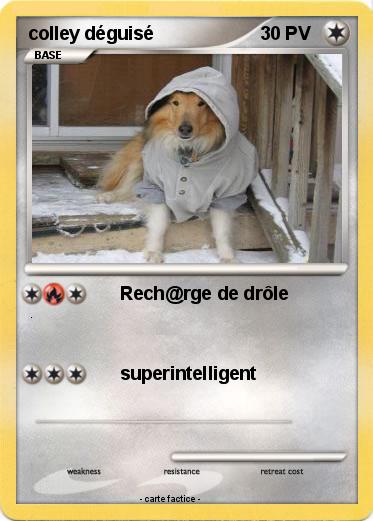 Pokemon colley déguisé