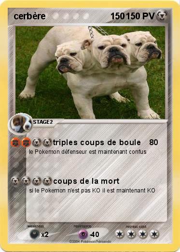 Pokemon cerbère                          150