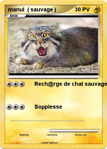 Pokemon manul  ( sauvage )