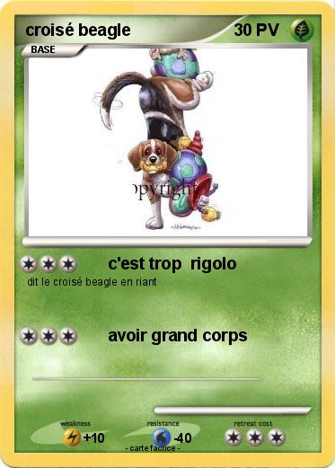 Pokemon croisé beagle