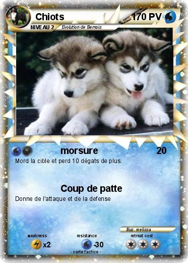 Pokemon Chiots