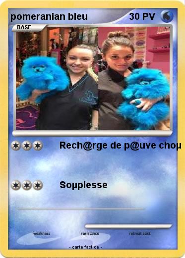 Pokemon pomeranian bleu