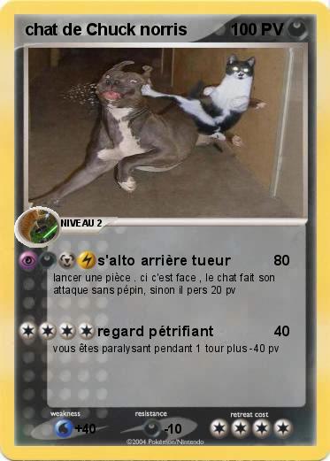 Pokemon chat de Chuck norris