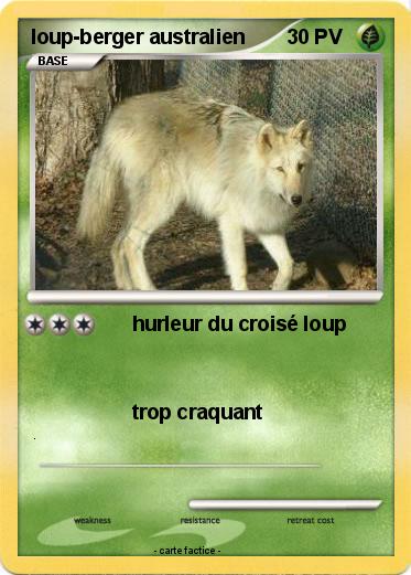 Pokemon loup-berger australien