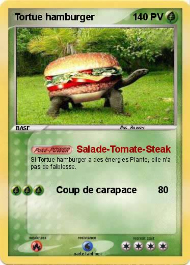 Pokemon Tortue hamburger