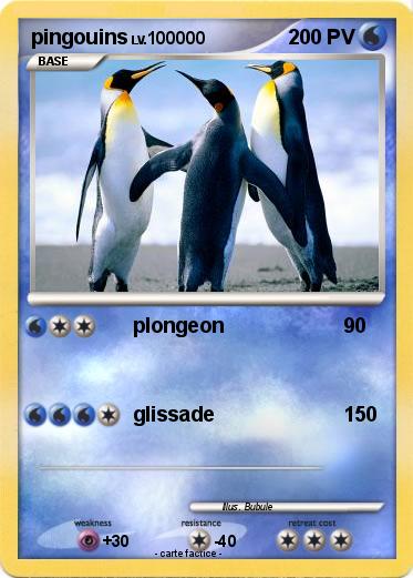 Pokemon pingouins