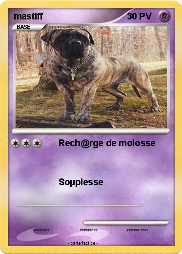 Pokemon mastiff