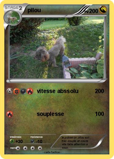 Pokemon pilou