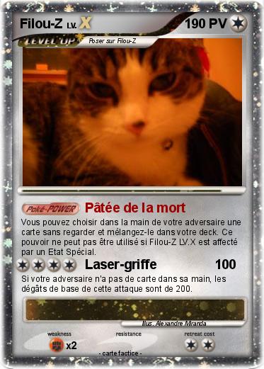 Pokemon Filou-Z