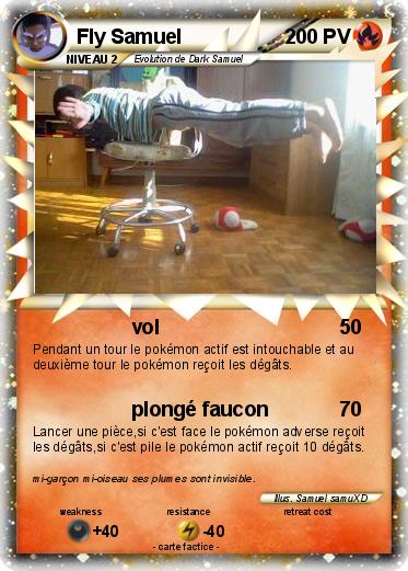 Pokemon Fly Samuel