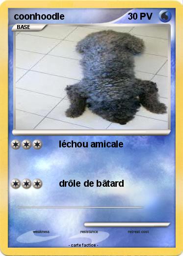 Pokemon coonhoodle