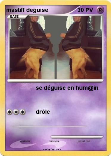 Pokemon mastiff deguise