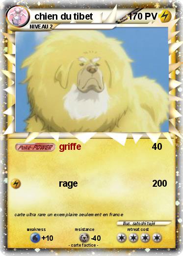 Pokemon chien du tibet