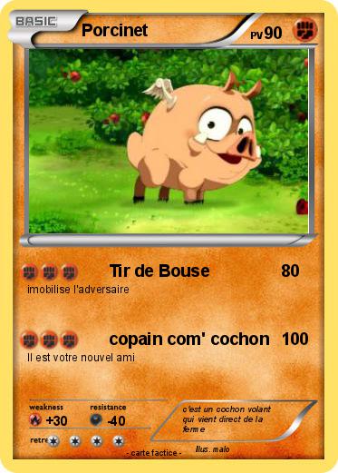 Pokemon Porcinet