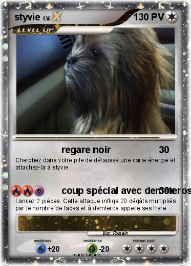 Pokemon styvie