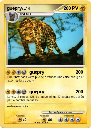 Pokemon guepry