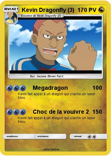 Pokemon Kevin Dragonfly (3)